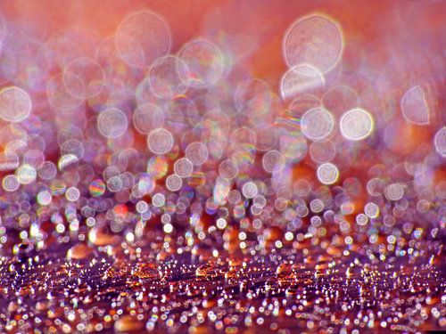 Jeux de lumière (Bokeh avec gouttes)