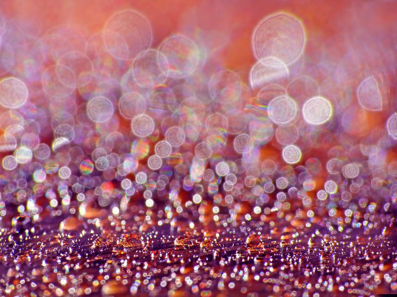 Light Games (Bokeh with drops) by Caroline Lichthart