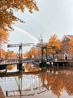 Autumnal Schiedam