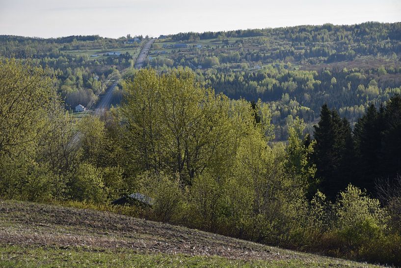 Ein Feld im Frühjahr in Bearbeitung von Claude Laprise