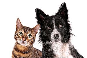 Vivre comme chat et chien (art) sur Art by Jeronimo