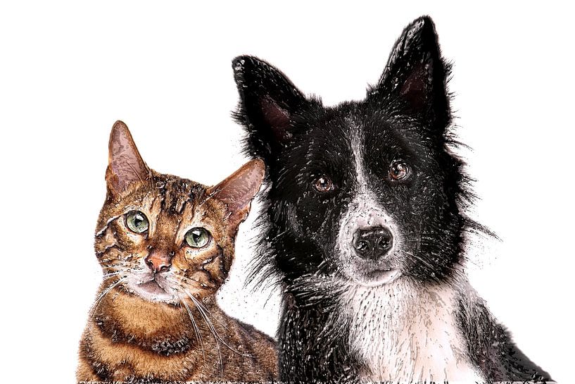 Living like cat and dog (art) by Art by Jeronimo