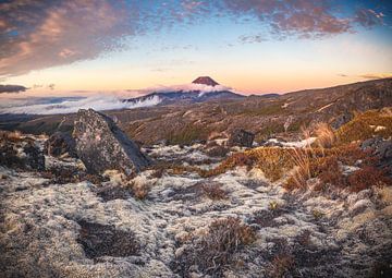 Nieuw-Zeeland Mount Ngaruhoe in het avondlicht van Jean Claude Castor