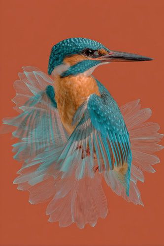 IJsvogel Elegantie in Moderne Kleur