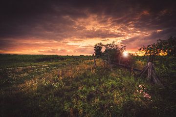 Sonnenuntergang in der Natur von Skyze Photography by André Stein