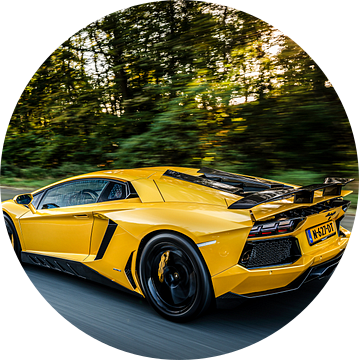 Lamborghini Aventador LP700-4 Mansory
