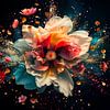 flower  explosion van Hetty Lamboo