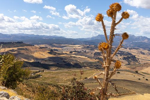 Landschapsfoto in Andalusische zomer. Kaal landschap onder een blauwe hemel, Andalusië, Spanje