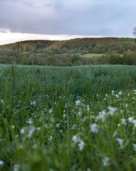 La vallée de la Gulp par une tranquille soirée de printemps