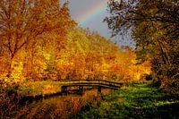 Autumn forest under the rainbow