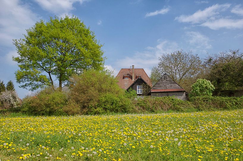 Spring landscape by Berthold Werner