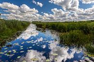 Water reflections by Stefan Wapstra thumbnail