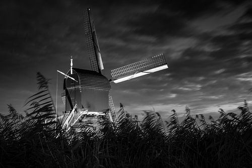 Windmühle in Kinderdijk schwarz-weiß am Abend nach Einbruch der Dunkelheit