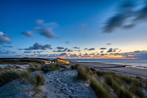 Der Flussuferläufer