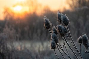 Meinerswijk Teil 90