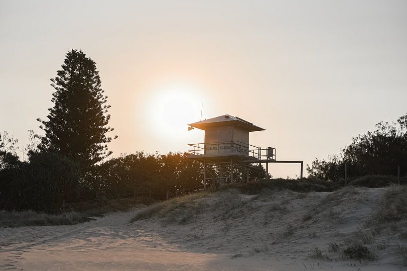 Sunset Guard par DsDuppenPhotography