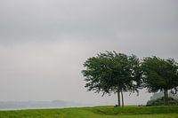 Wind en regen