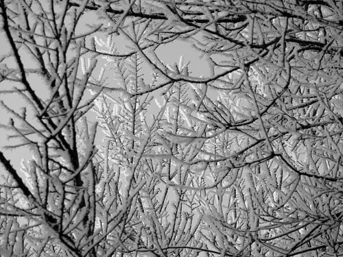 Winterwonderland