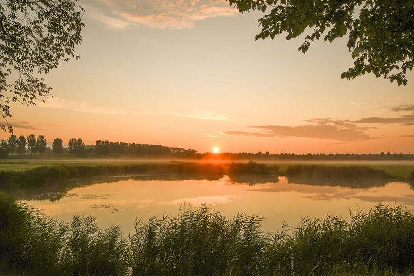 Zonsopkomst Zwartendijk van Tessa van der Geer