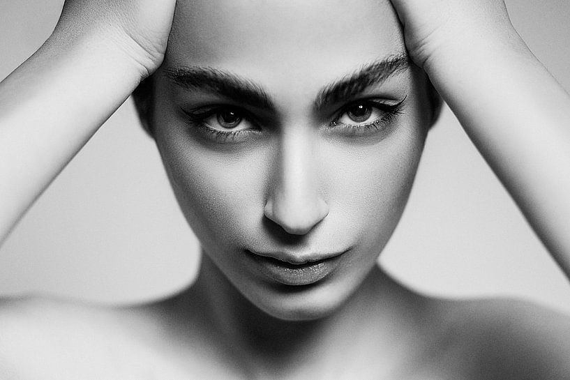 bravo by Amin Hamidnezhad