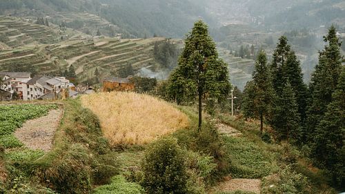 traditionele rijstterrassen in Guizhou, China