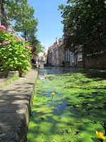 Delft gracht met oude panden.