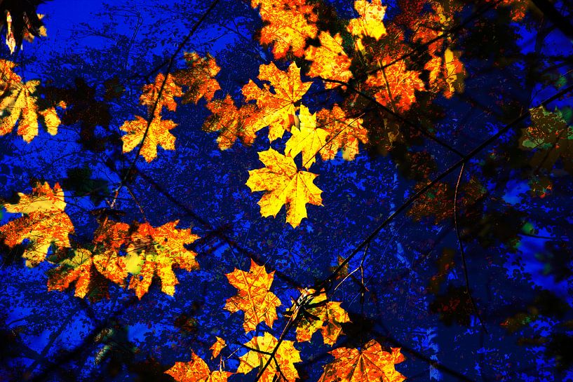 Goldener Oktober von Thomas Jäger