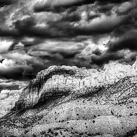 Panorama Zion Nationalpark USA von Dieter Walther