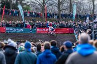 Vestingcross Hulst Mathieu van der Poel van Herbert Huizer thumbnail