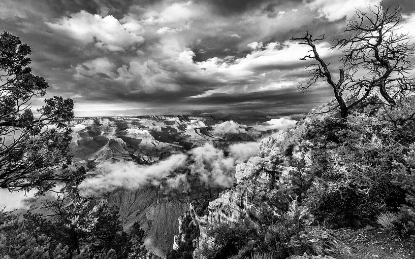 Grand Canyon van Richard Reuser