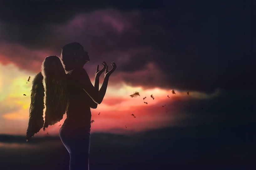 Enchanting Silhouette of a Fallen Angel at Sunset - Photo for Your Interior by Elianne van Turennout