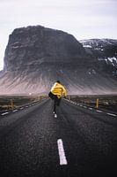 Run into the wild