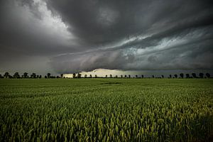 Orage sur Markus Schulz