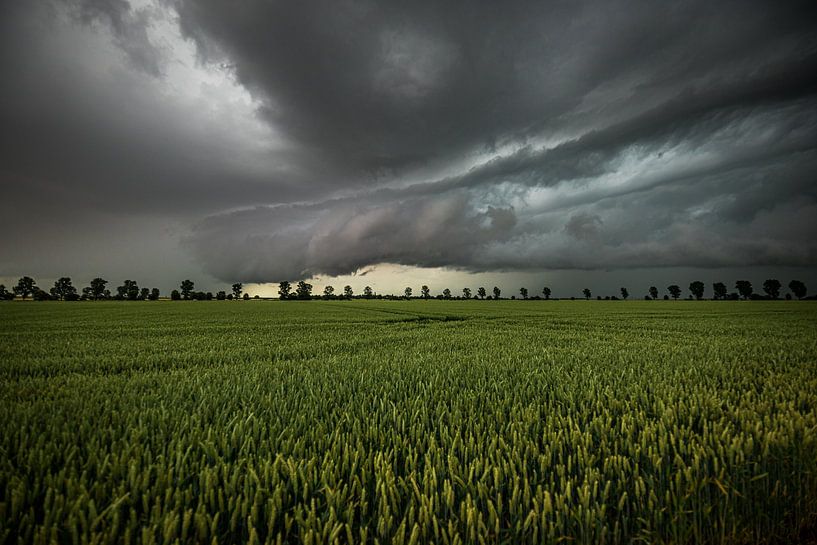 Onweer van Markus Schulz