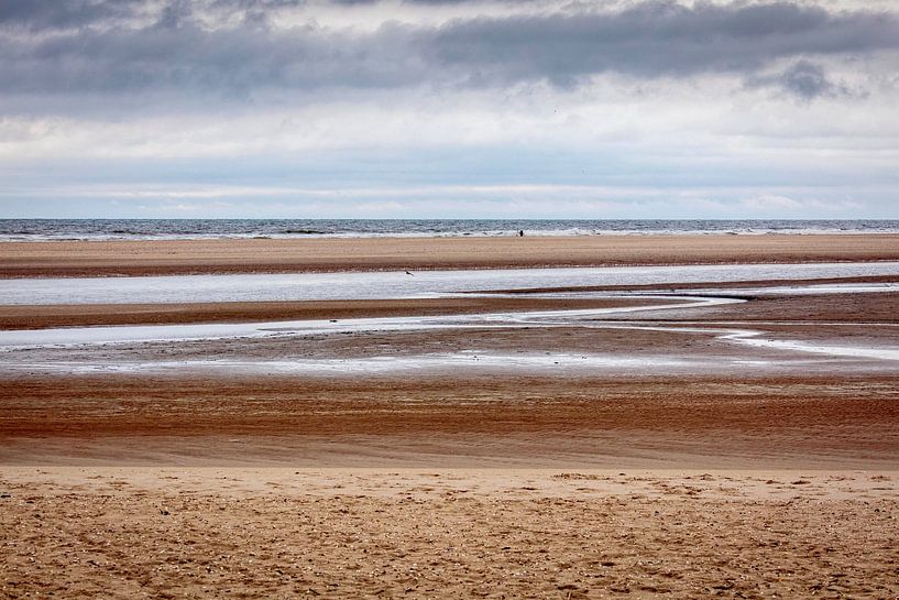 Strand am Slufter auf der Insel Texel von Rob Boon