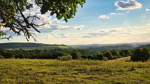 Een zonnige dag in Saarland met uitzicht over weilanden in het dal. Koe in de wei.