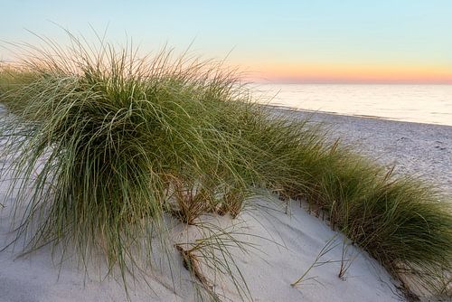 Silence on the west beach by Daniela Beyer