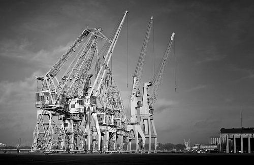 Antwerpen oude kranen