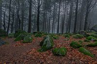 Germany - Black Forest - Günterfelsen