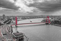 willemsbrug Rotterdam