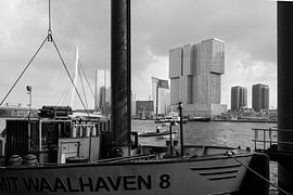 the walloon port in rotterdam