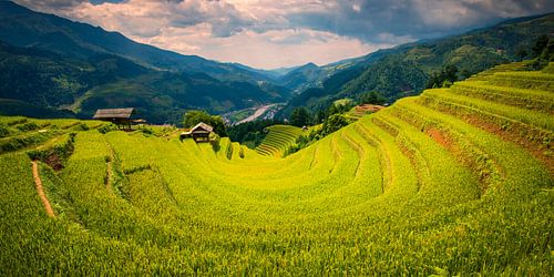 De adembenemende rijstvelden van Mu Cang Chai, Vietnam