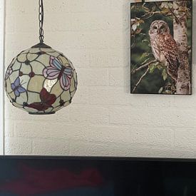 Customer photo: Tawny owl in the forest by Marianne Ottemann - OTTI, on ArtFrame