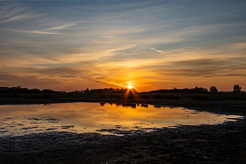 opkomende zon bij natuurgebied lentevreugd in wassenaar