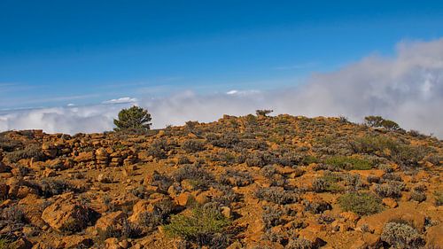 Boven de wolken – rotsachtig hoogland in Teide Nationaal Parkk, Tenerife van Kristof Lauwers