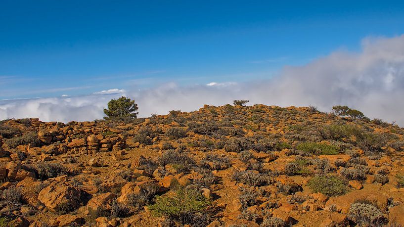 Au-dessus des nuages - hautes terres rocheuses dans le parc national de Teide, Ténériffe par Kristof Lauwers