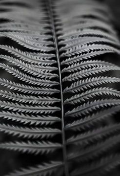 Perfection sur Martine Affre Eisenlohr