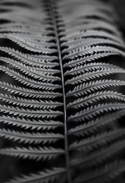 Perfectie van Martine Affre Eisenlohr