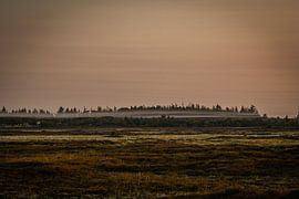 Sunrise natural landscape with morning mist by Rein van Vemde