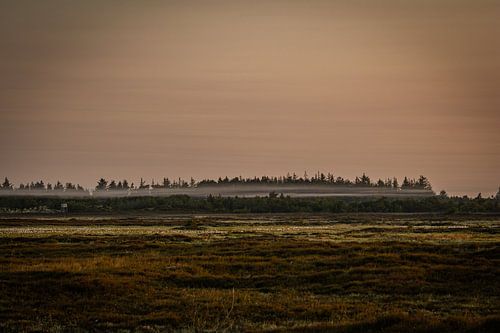 Sunrise natural landscape with morning mist